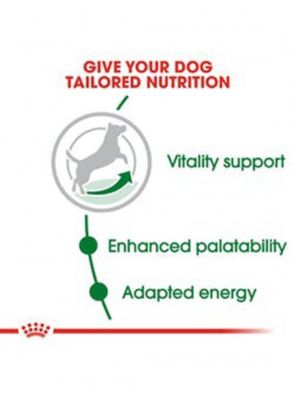 SHN MINI ADULT 8+_web4